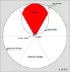 Grafica3.webp