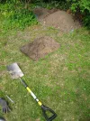 IMG_4585.webp