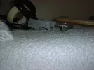 DSCF0125.webp