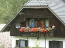 SN855357.webp