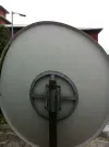 rear of dish.webp