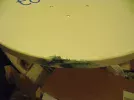 Dish 3.webp