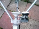 Dish 1.webp
