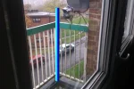pole.webp