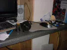 DSCF0019.webp