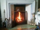 fireguard.webp