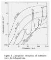 signal.webp