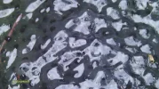 IMAG0038.webp
