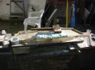 DSCF0071.webp