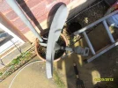 SAM_3923.webp