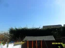 SAM_3925.webp