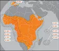 Eutelsat W7 Sub-Sahara African beam .webp
