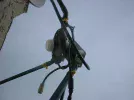 DSCF0003.webp