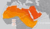 7w-AB7-MENA.gif