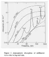 signal.webp