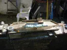 DSCF0071.webp
