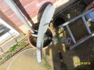 SAM_3923.webp