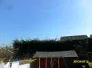 SAM_3925.webp