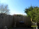 SAM_3961.webp