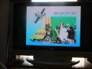 DSCF0071.webp