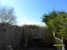 SAM_3961.webp