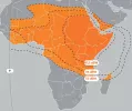 w5aafrica.webp