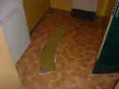 DSCF0044.webp