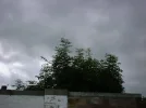 DSCF0142.webp