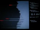 LH-for 20 minutes.webp