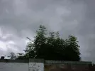 DSCF0142.webp