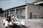 Rover.webp