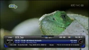 RTE 2 HD.webp