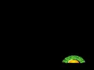 Green Channel12-11 23-45-58.webp