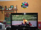 oloh 003.webp