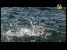 TALAQIE01-31 20-47-48.webp TALAQIE01-31 20-47-48.webp