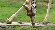 HD transr02-26 11-46-44.webp