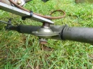 DSCN2919.webp