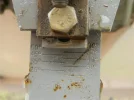 DSCN2949.webp
