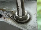DSCN2950.webp