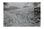 Surrey snow.jpg
