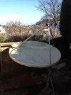 dish.webp