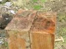 DSCN2962.webp