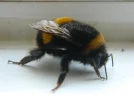 DSCN3192.webp