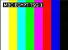mbc masr tc 21.5e.webp