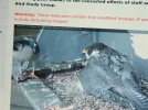 DSCN3403.webp