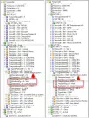 TransEdit -4.webp