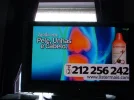 DSCF0012.webp