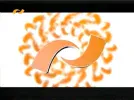 namayesh tv 55e.webp