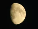 DSCN3958.webp