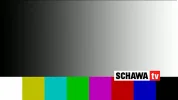 vlcsnap-2013-09-12-21h25m59s11.webp